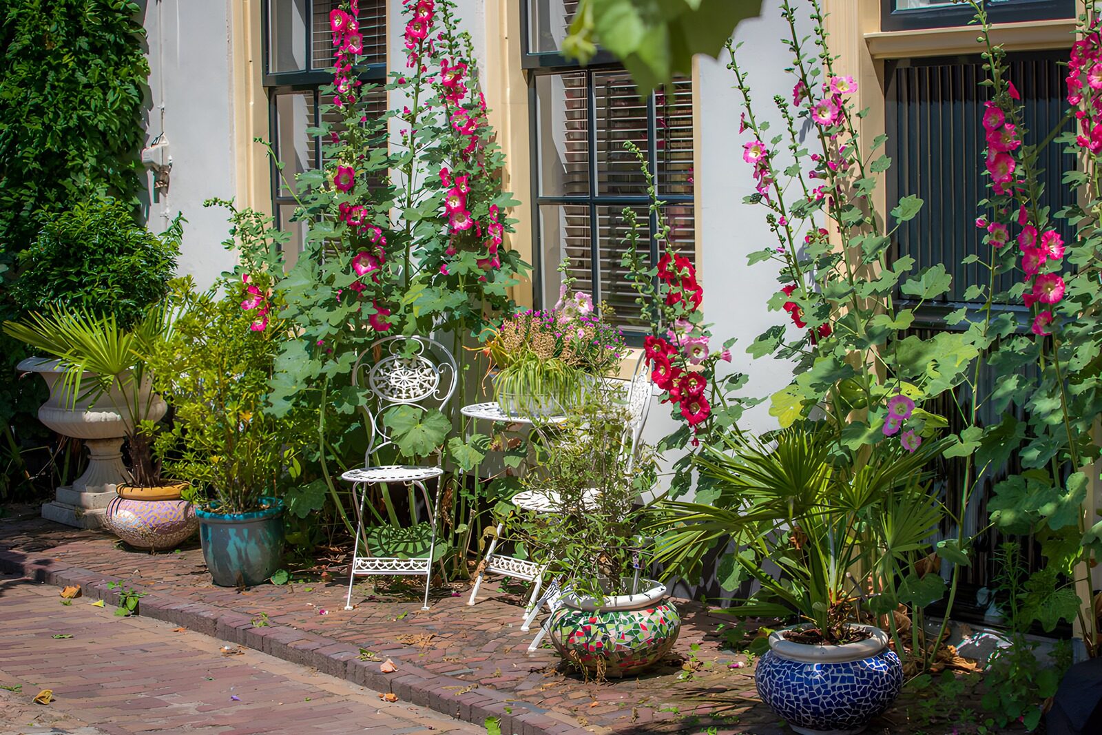 TPFR60936: Jardin coloré avec fleurs et meubles