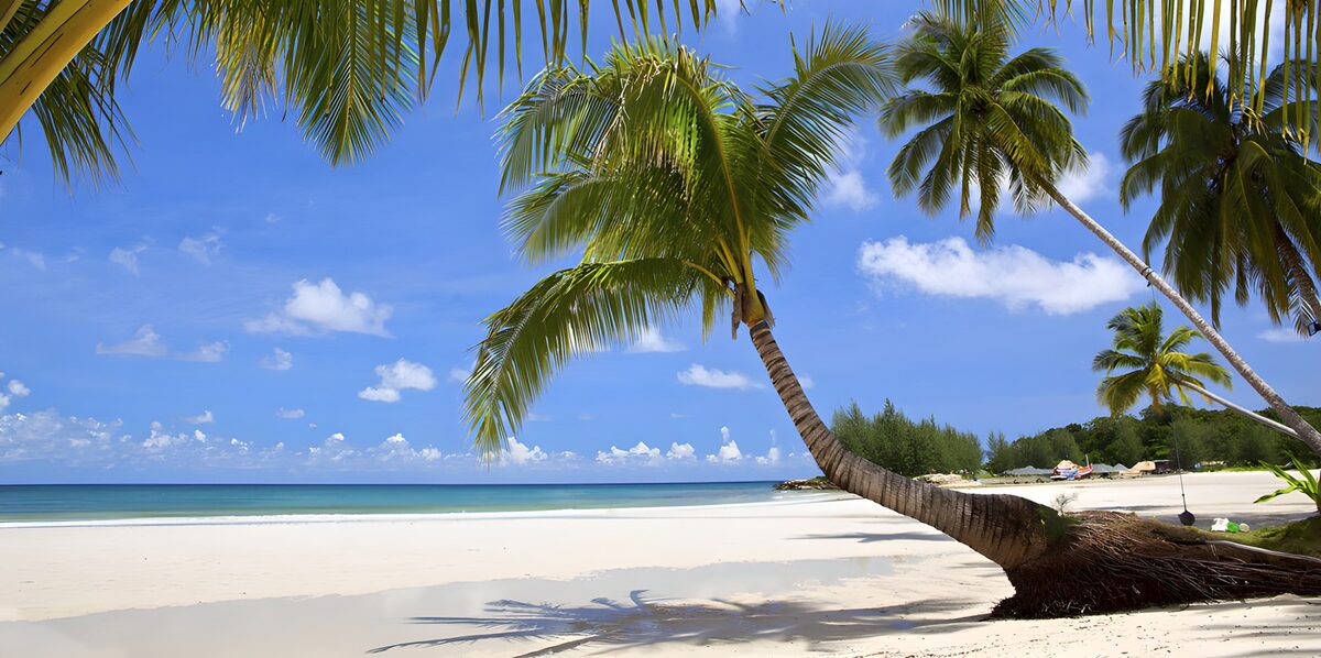 TPFR71307: Plage paradisiaque sous les palmiers