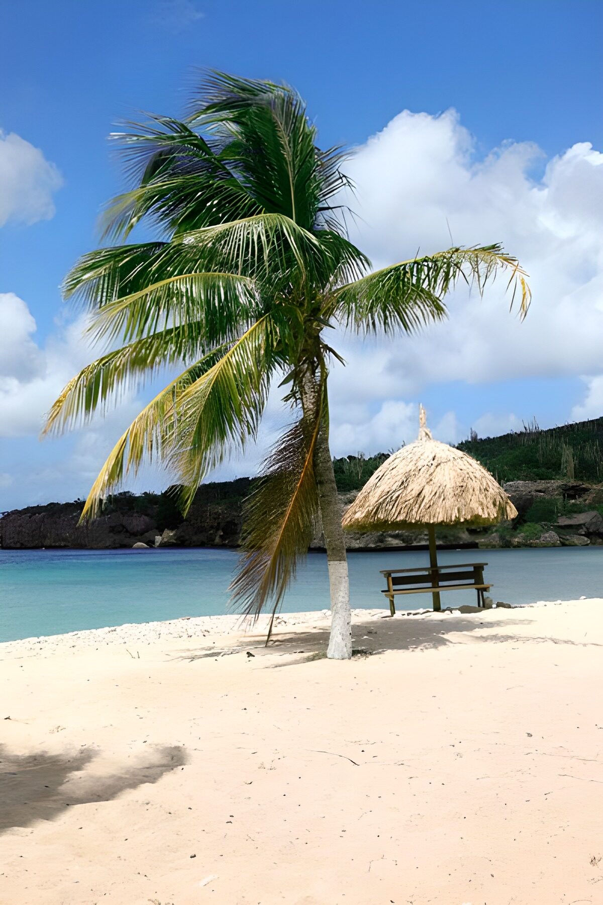 TPFR48050: Palmier sur une plage de sable blanc et parasol en feuilles de palmier
