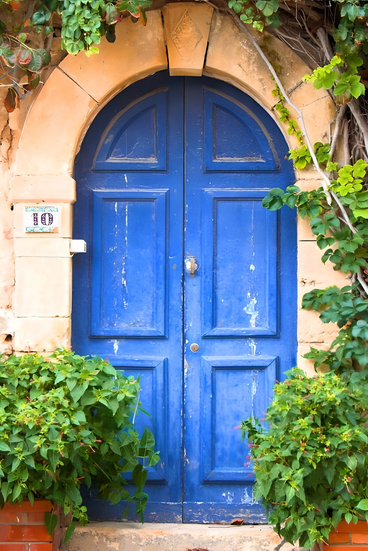 TPFR59622: Porte bleue et verdure