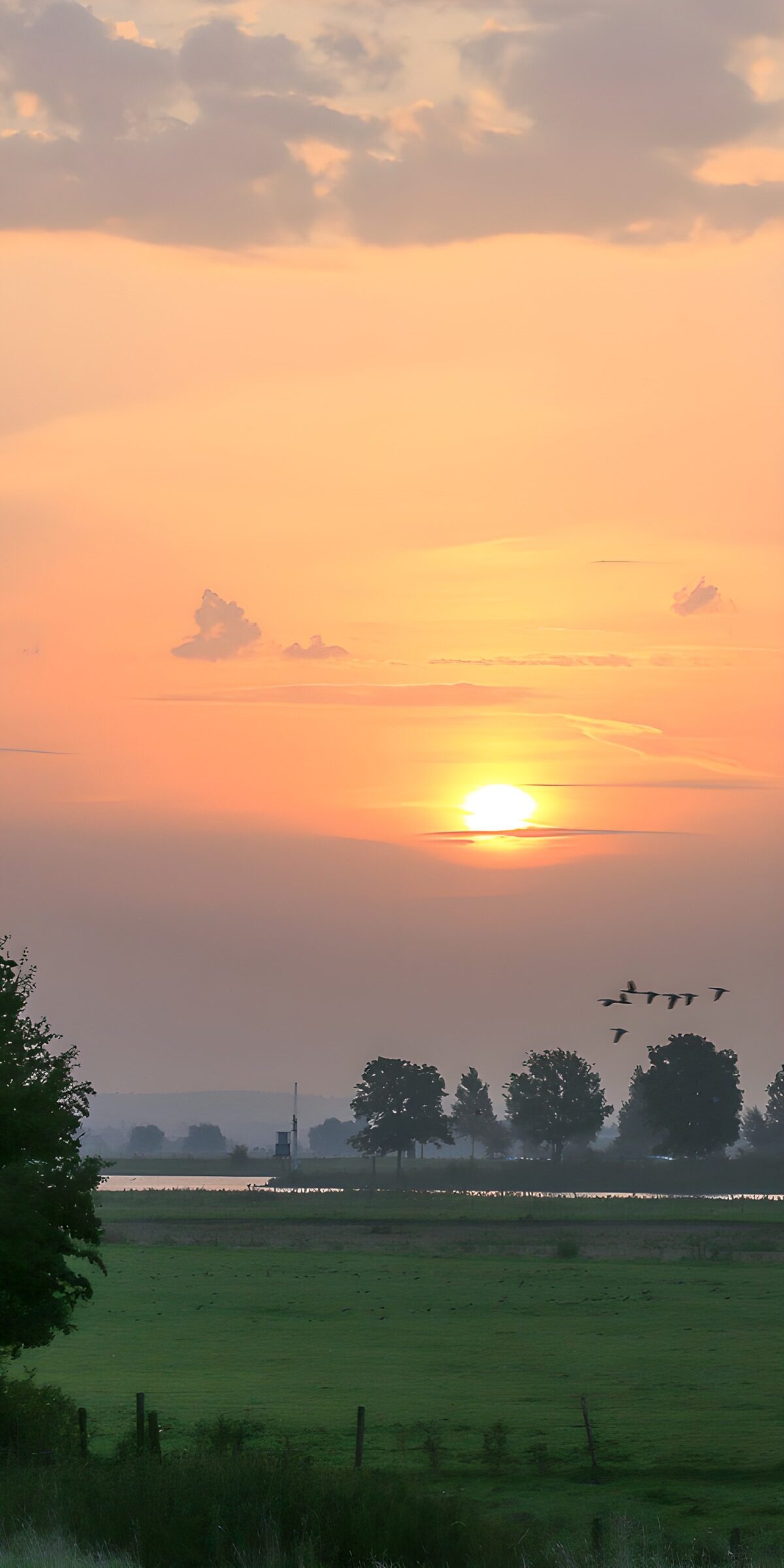 TPFR85287: Coucher de soleil paisible sur la campagne
