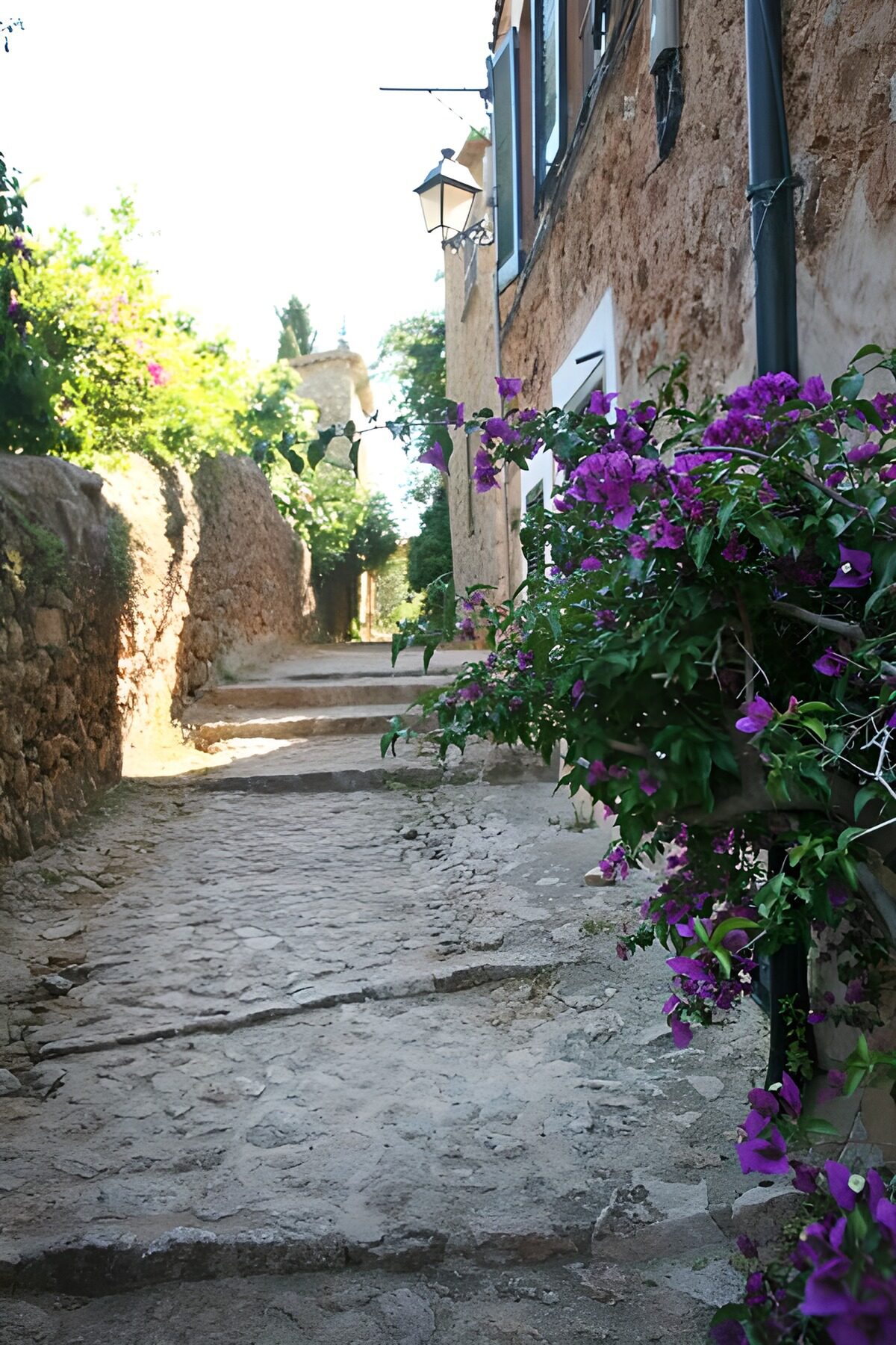 TPFR10742: Ruelle pavée dans un village aux maisons de pierre et porche en arrière-plan 7