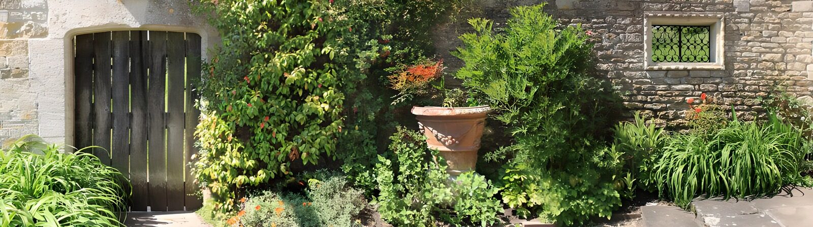 TPFR50293: Jardin fleuri avec porte en bois