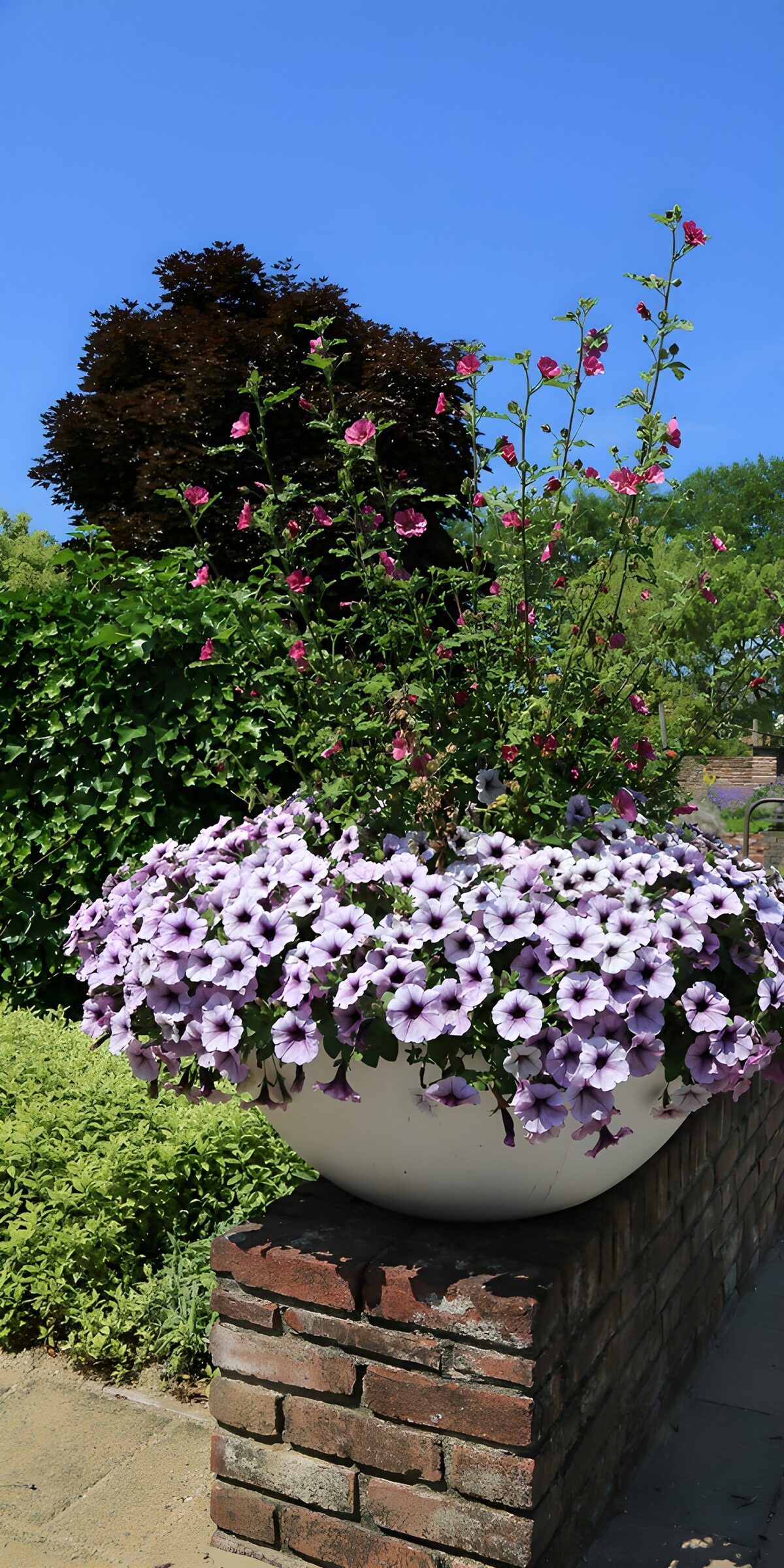 TPFR45006: Fleurs pastel dans un pot élégant
