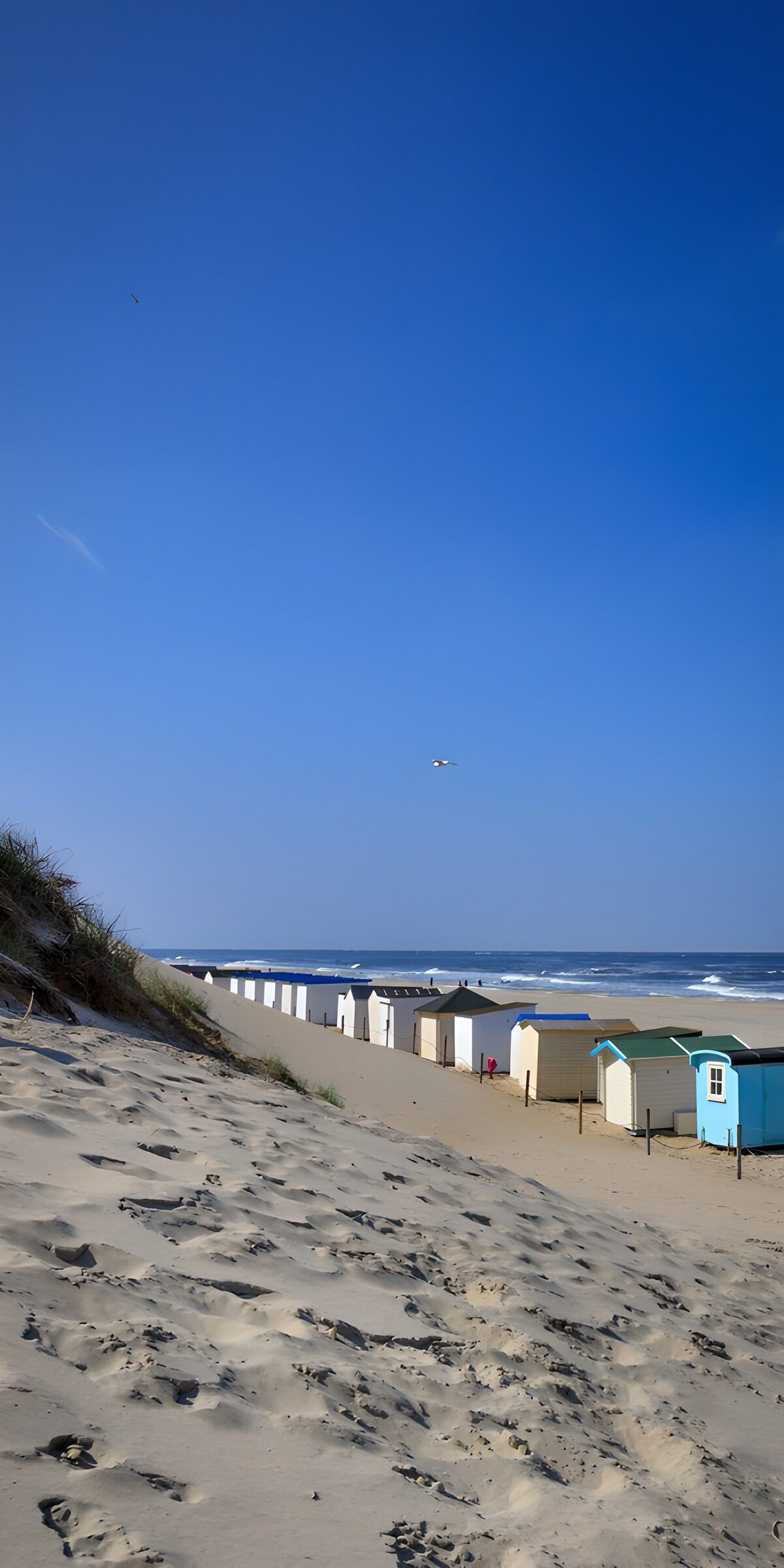 TPFR64773: Plage avec cabanes colorées