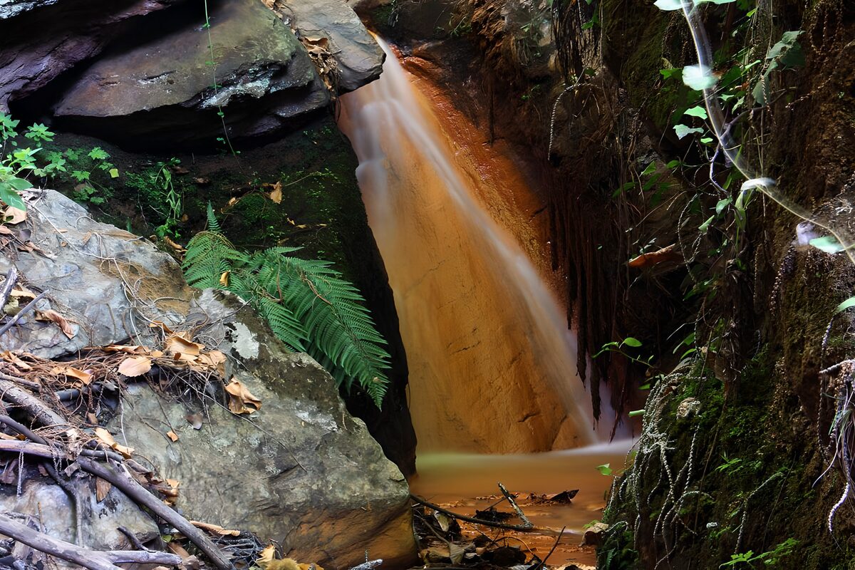 TPFR20109: Cascade tranquille dans la forêt