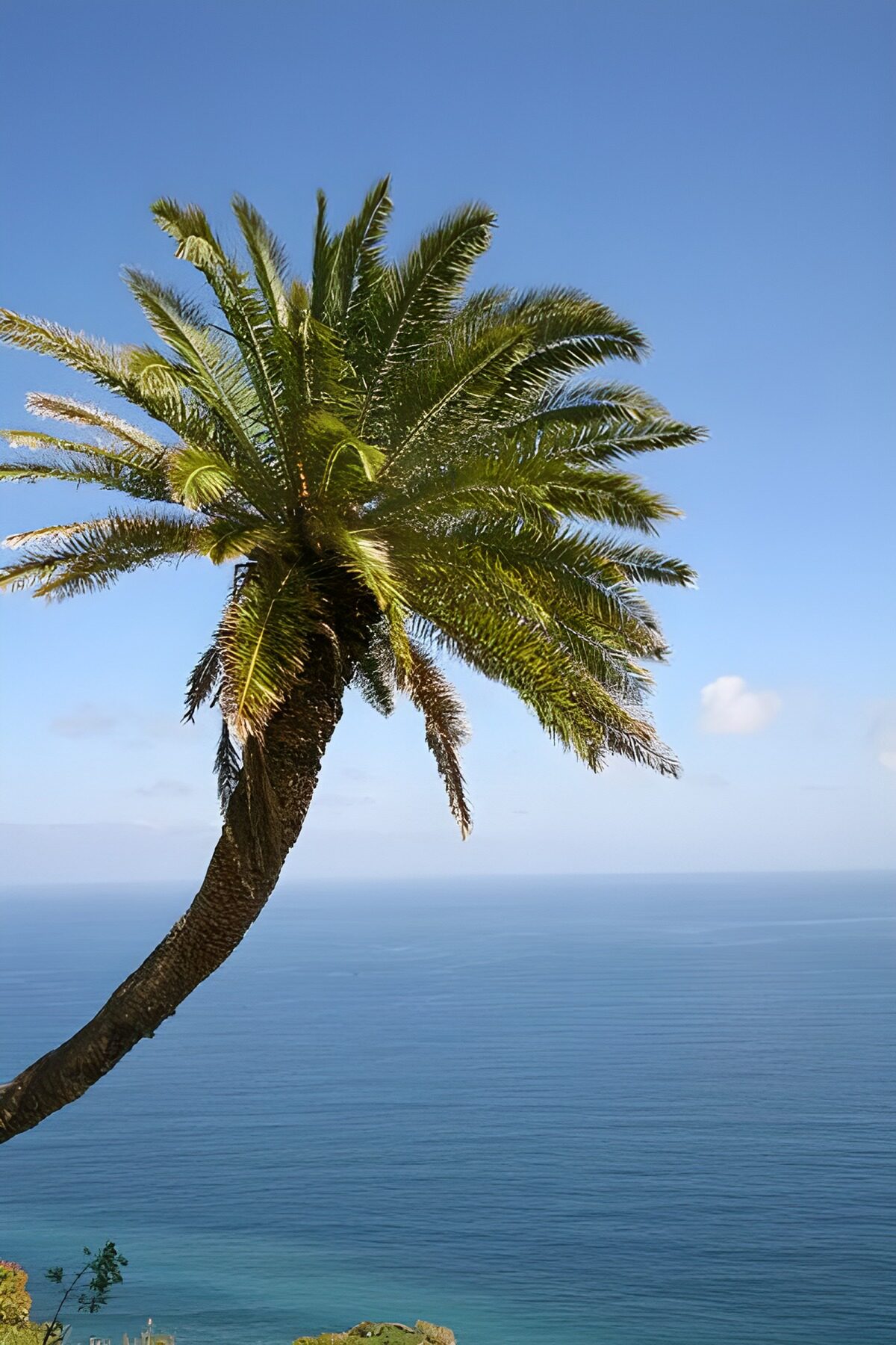 TPFR50094: La Gomera 24