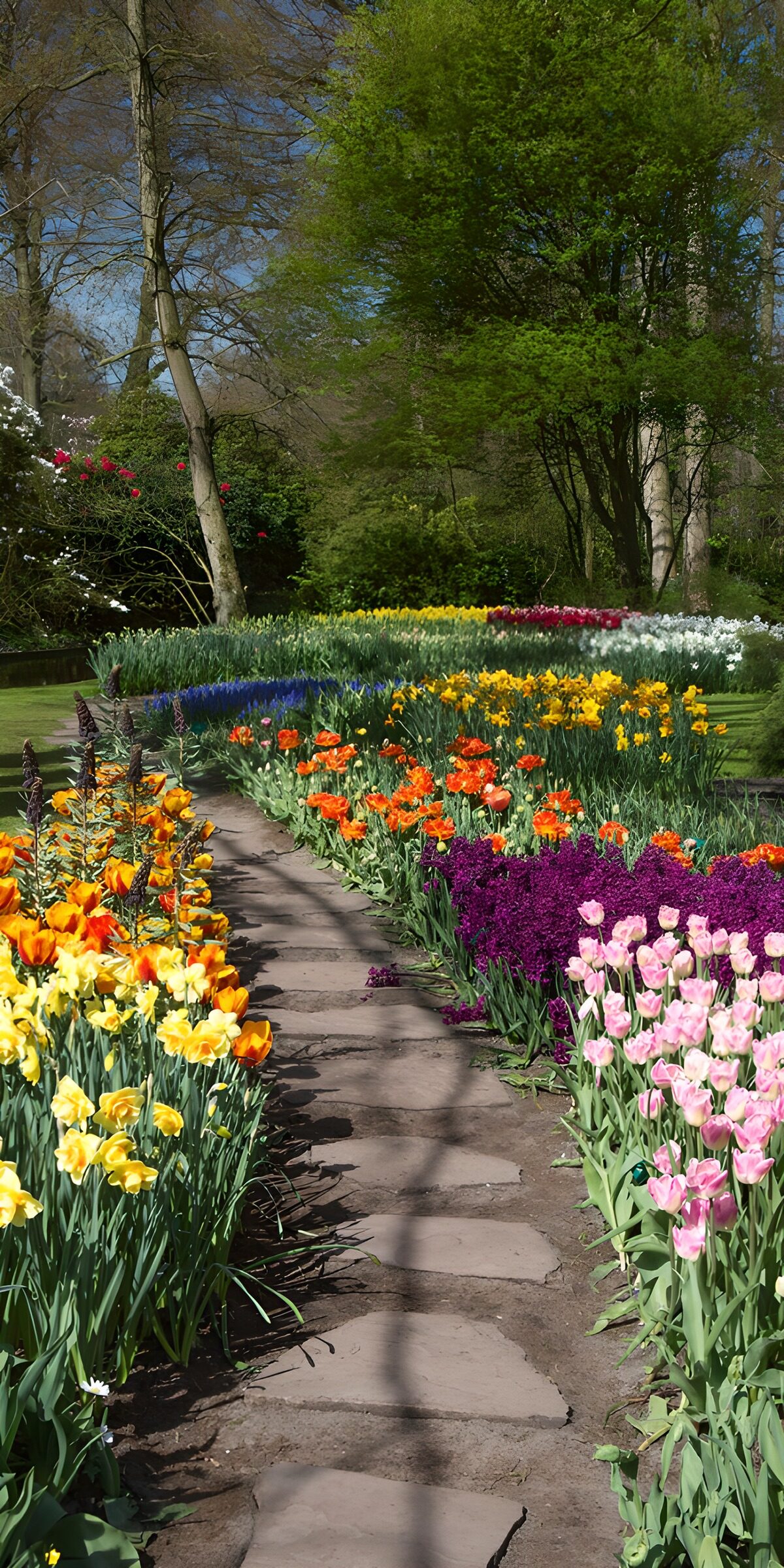 TPFR22960: Chemin fleuri dans un jardin coloré