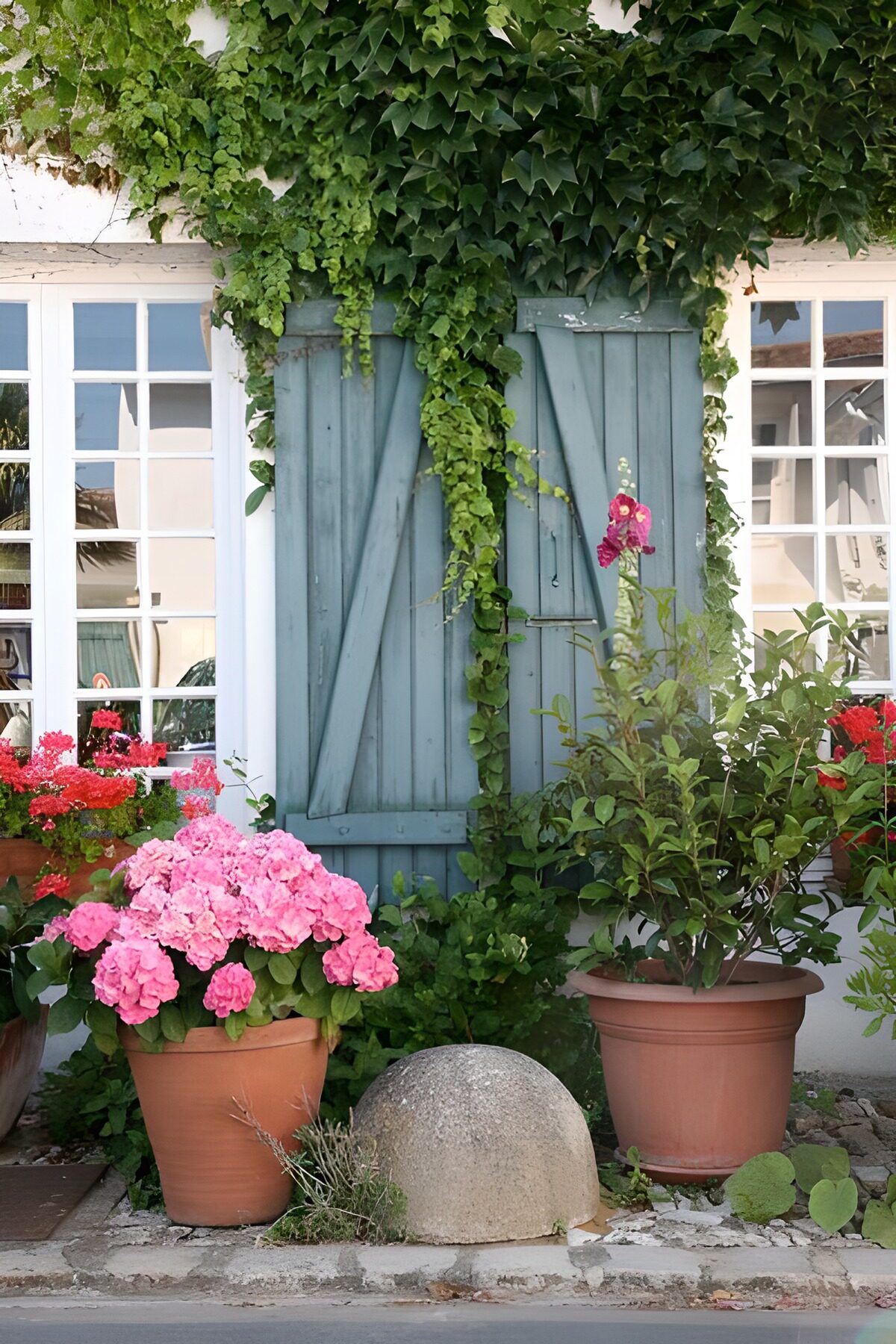 Fleurs et plantes en pots en bordure d'une maison aux volets bleus