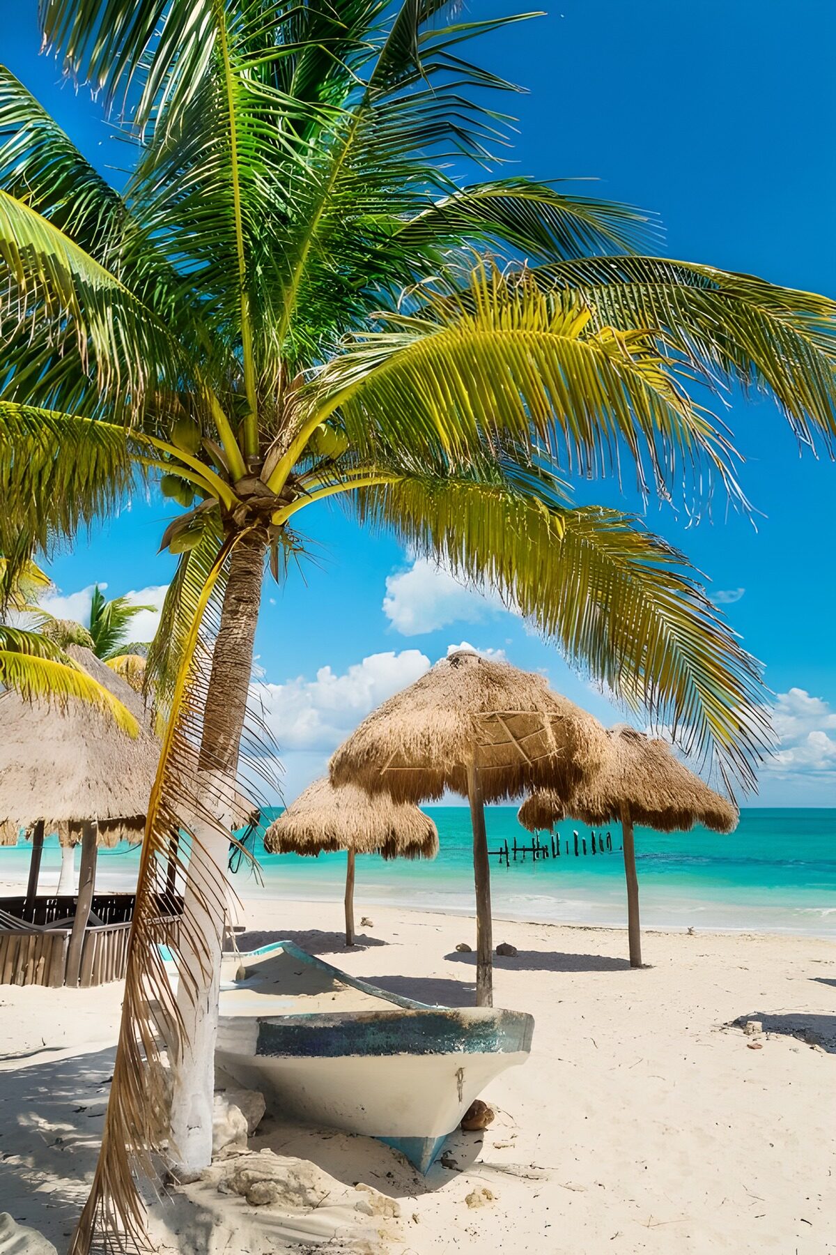 TPFR40206: Plage paradisiaque sous un ciel bleu