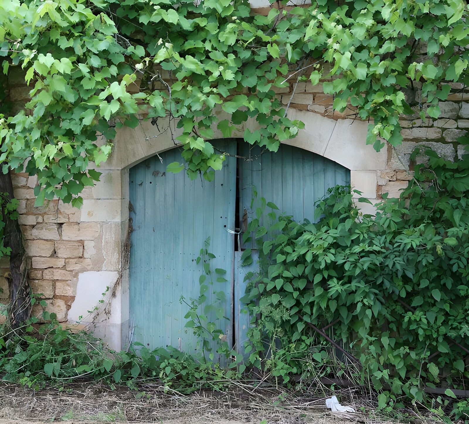 TPFR14710: Mur à la française avec porte bleue ancienne et vignes