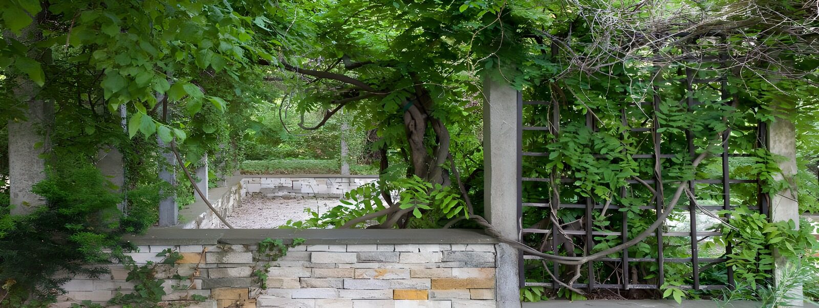 TPFR78709: Jardin secret entouré de verdure