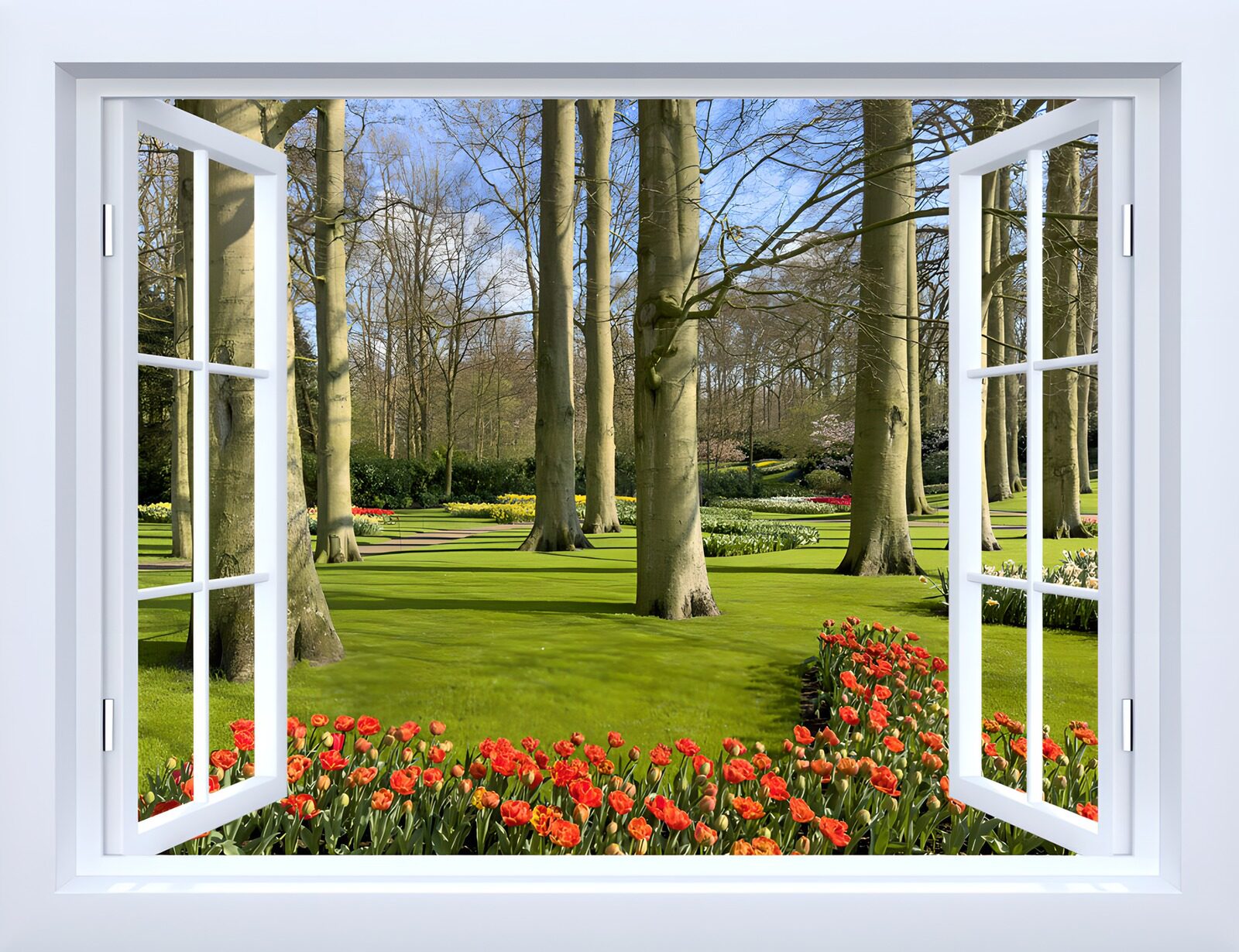 TPFR11747: Vue sur le jardin fleuri