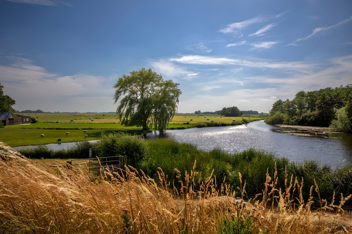 TPFR38118: Paysage paisible au bord de l'eau