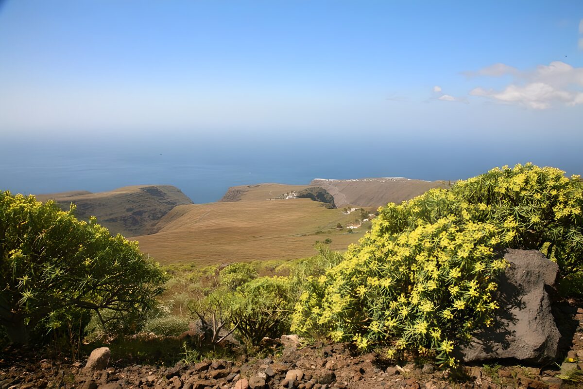 TPFR31245: La Gomera 21