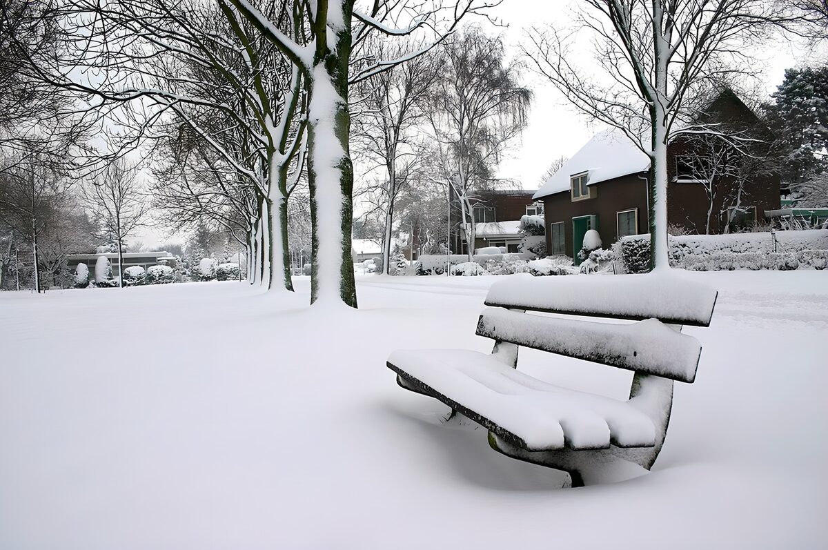 TPFR37449: Banc solitaire sous la neige