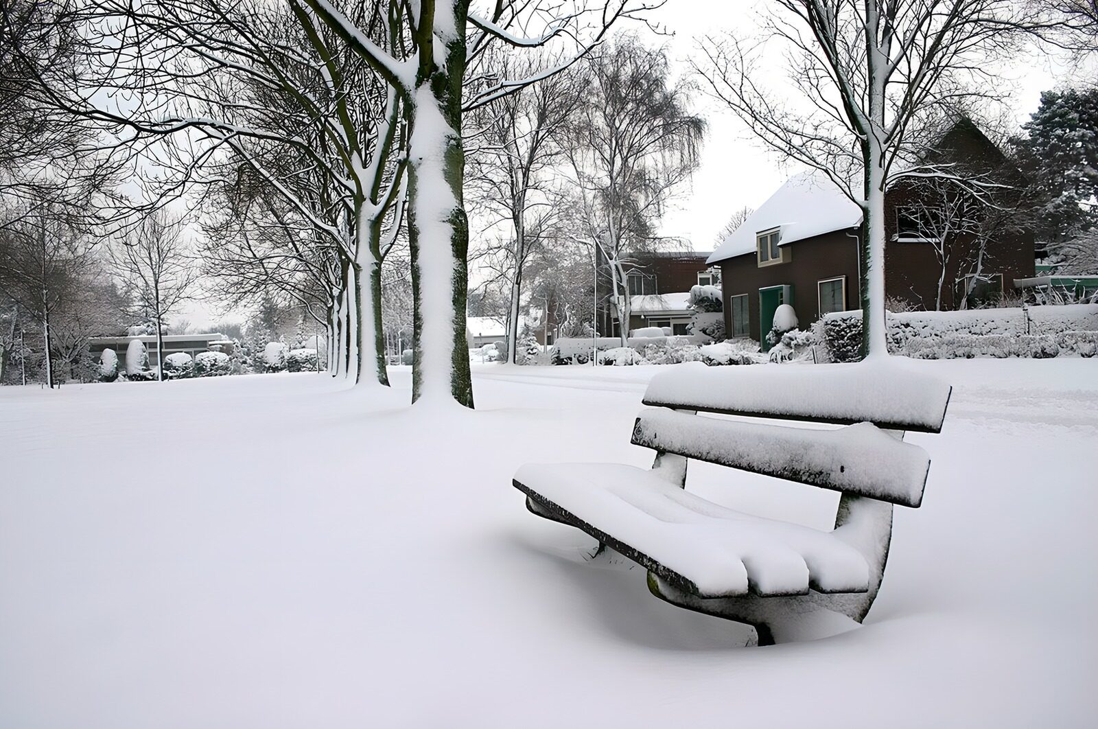 TPFR37449: Banc solitaire sous la neige