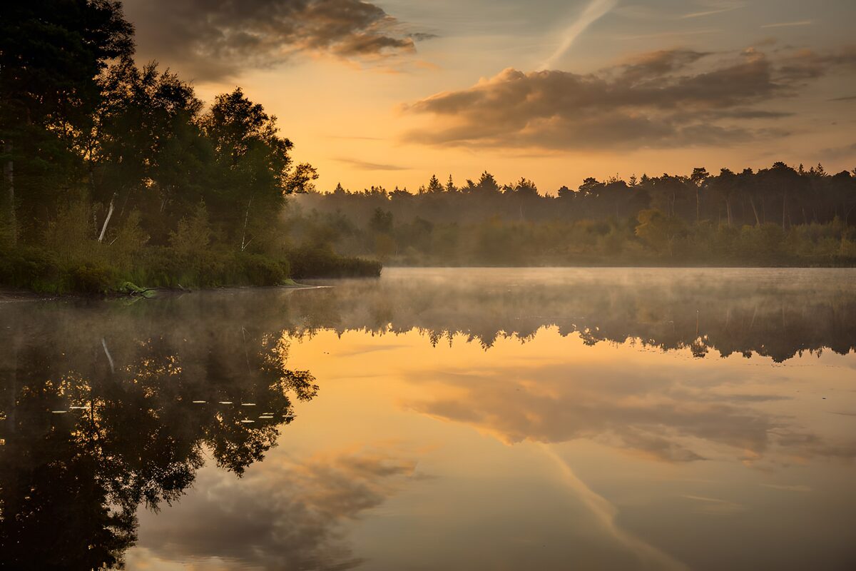 Reflets dorés au crépuscule