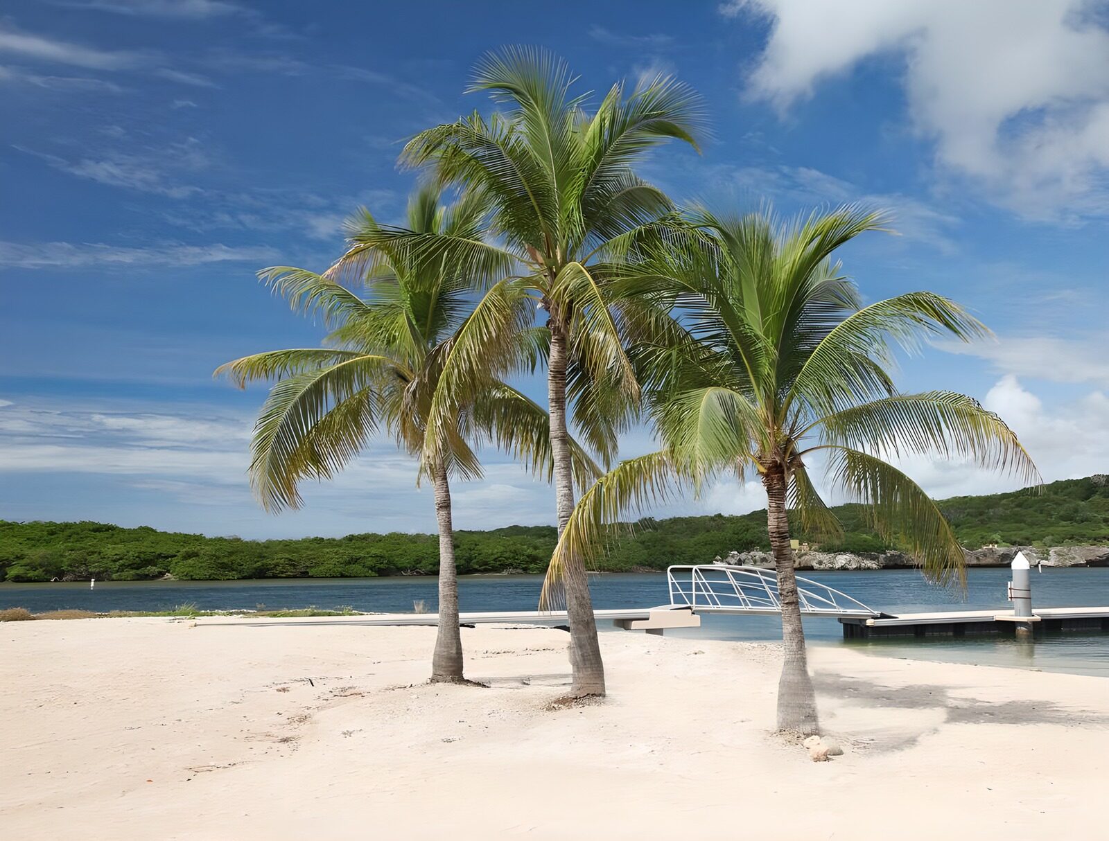 TPFR11300: Trois palmiers sur une plage