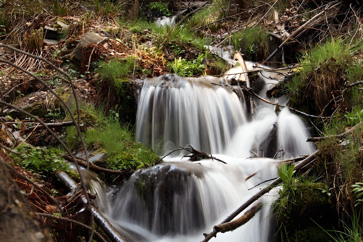 TPFR80967: Cascade paisible dans la forêt