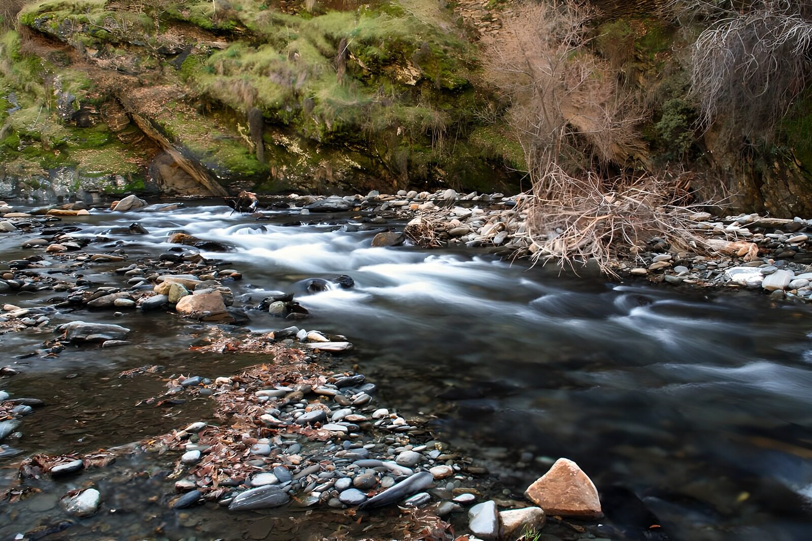 TPFR30637: Rivière paisible au milieu des pierres