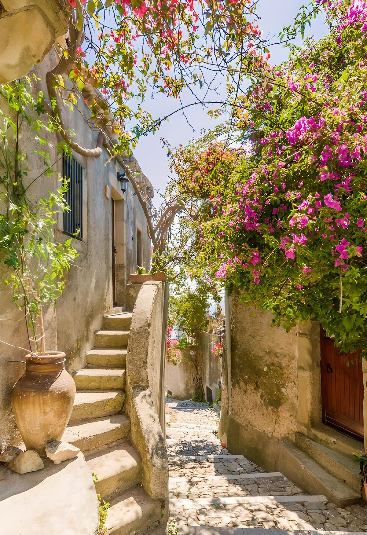 TPFR26006: Rue pittoresque aux fleurs colorées