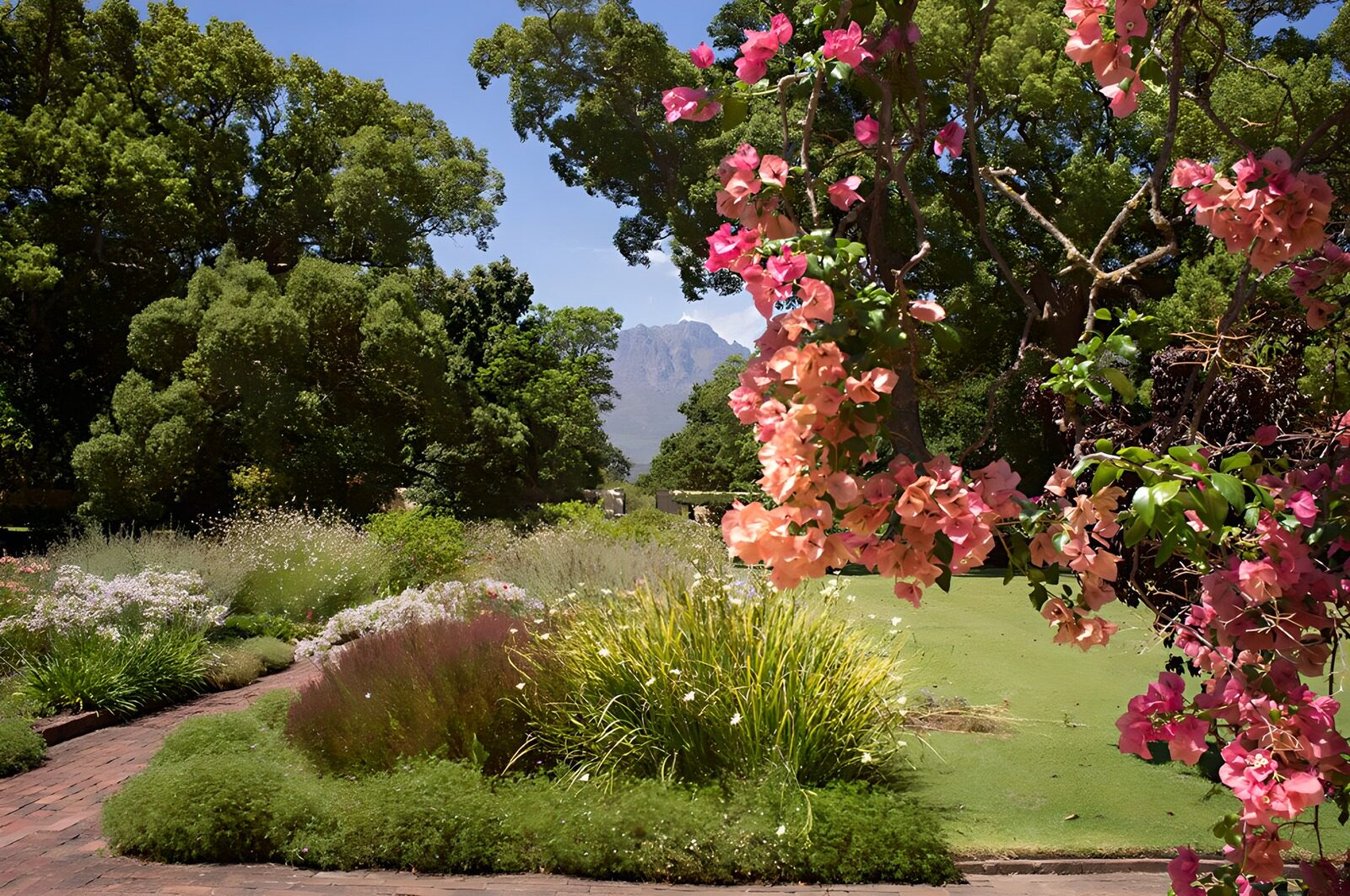 TPFR59549: Jardin enchanteur avec fleurs colorées