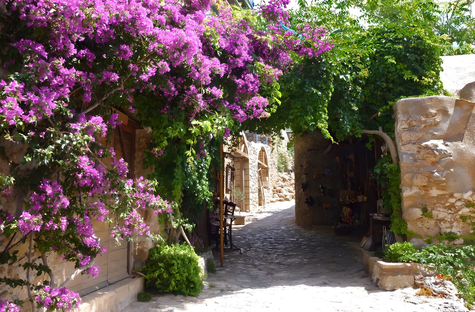 TPFR93265: Rue pittoresque avec bougainvilliers