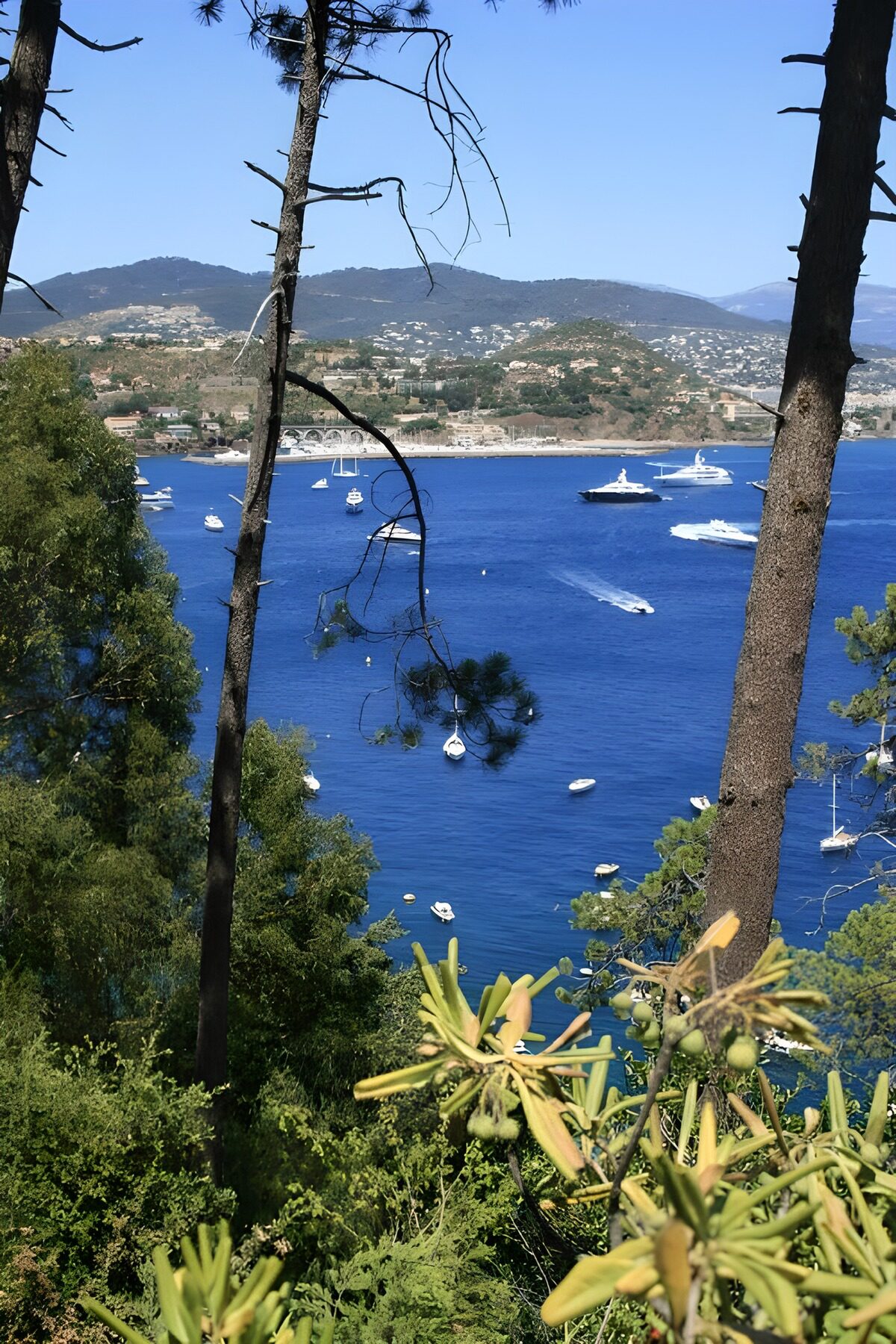 TPFR32741: Vue paisible sur la mer Méditerranée