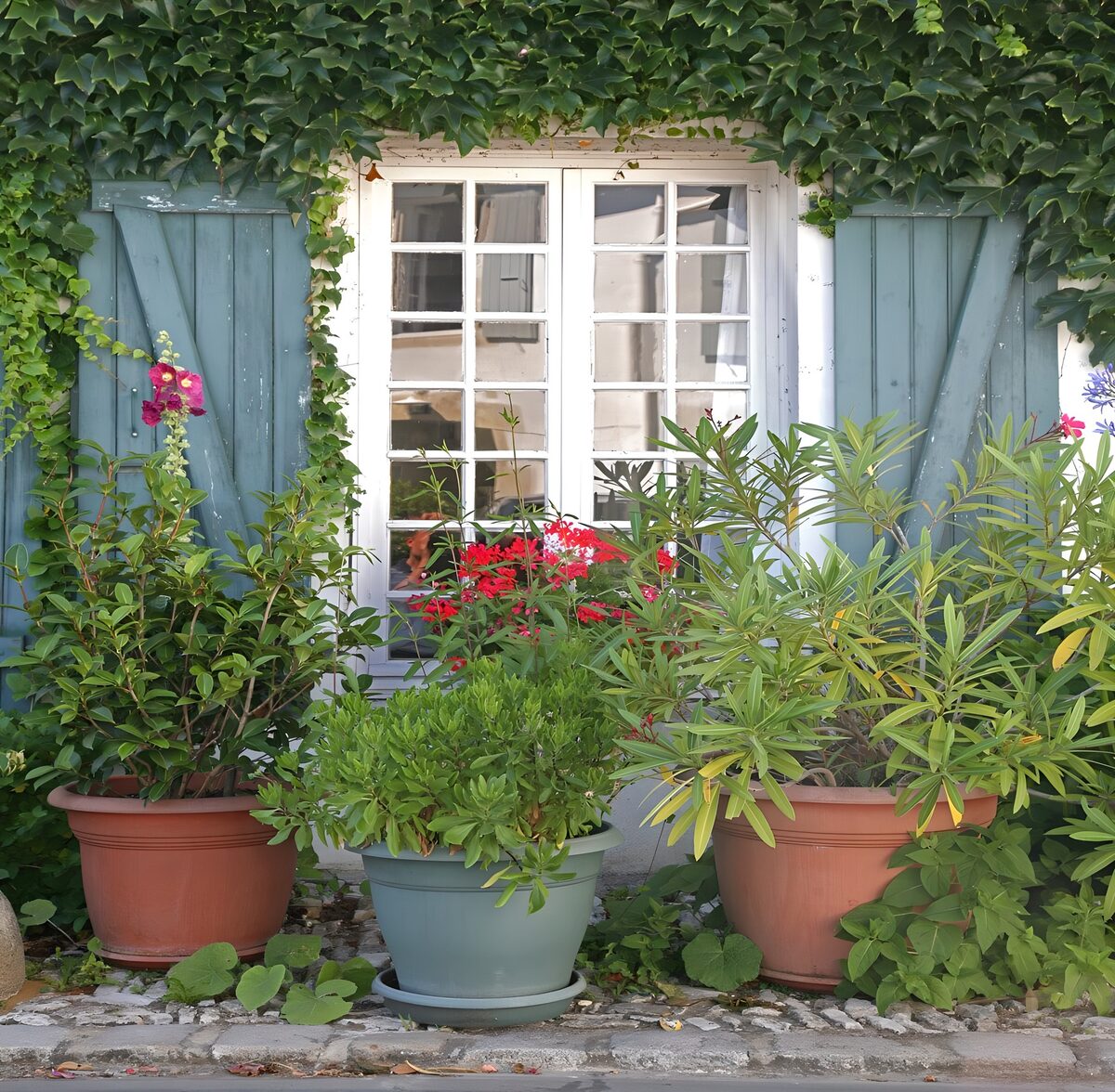 Charmante fenêtre avec des fleurs