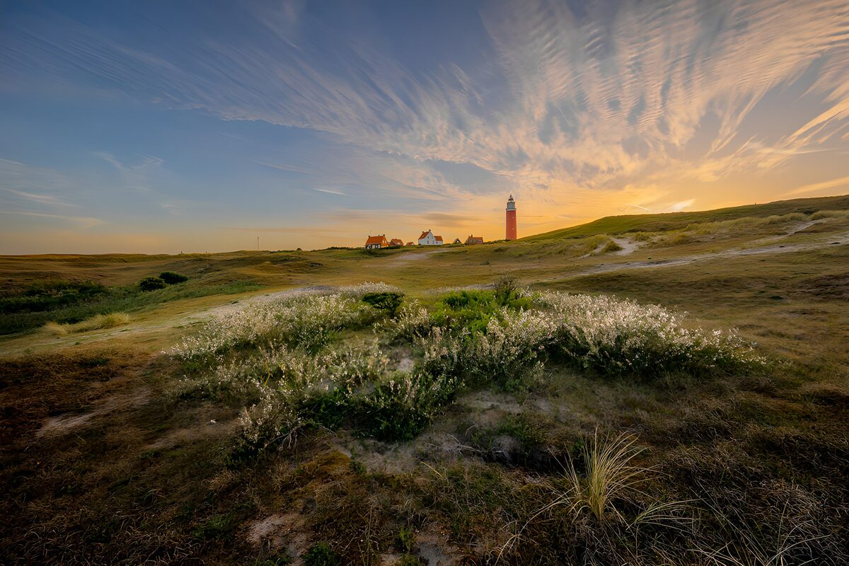 TPFR88334: Phare au coucher de soleil sur la dune