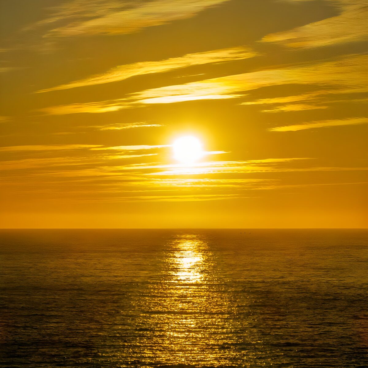 TPFR35349: Coucher de soleil doré sur l'océan