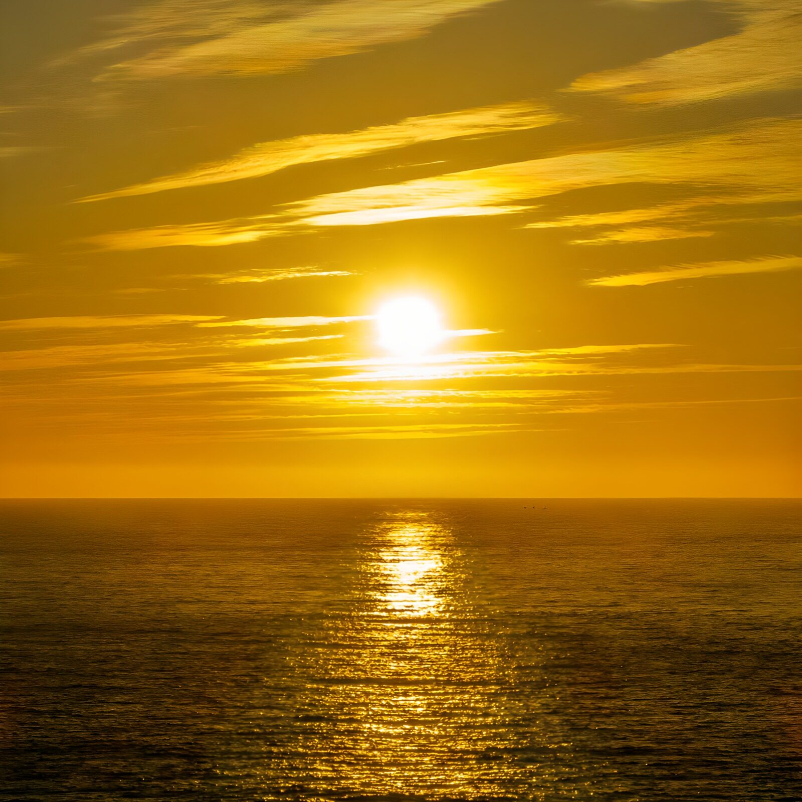 TPFR35349: Coucher de soleil doré sur l'océan