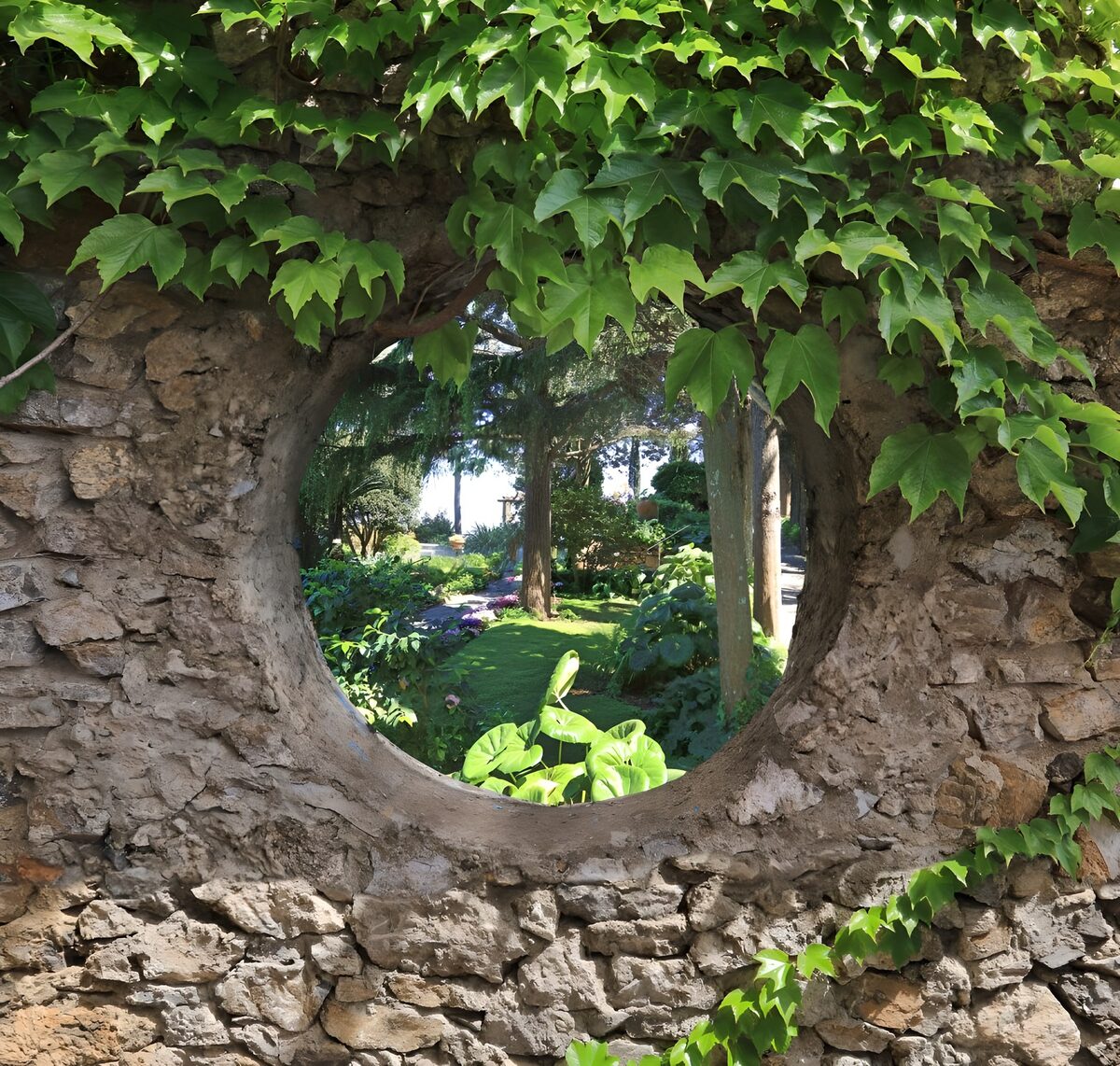 TPFR77149: Vue circulaire sur un jardin luxuriant