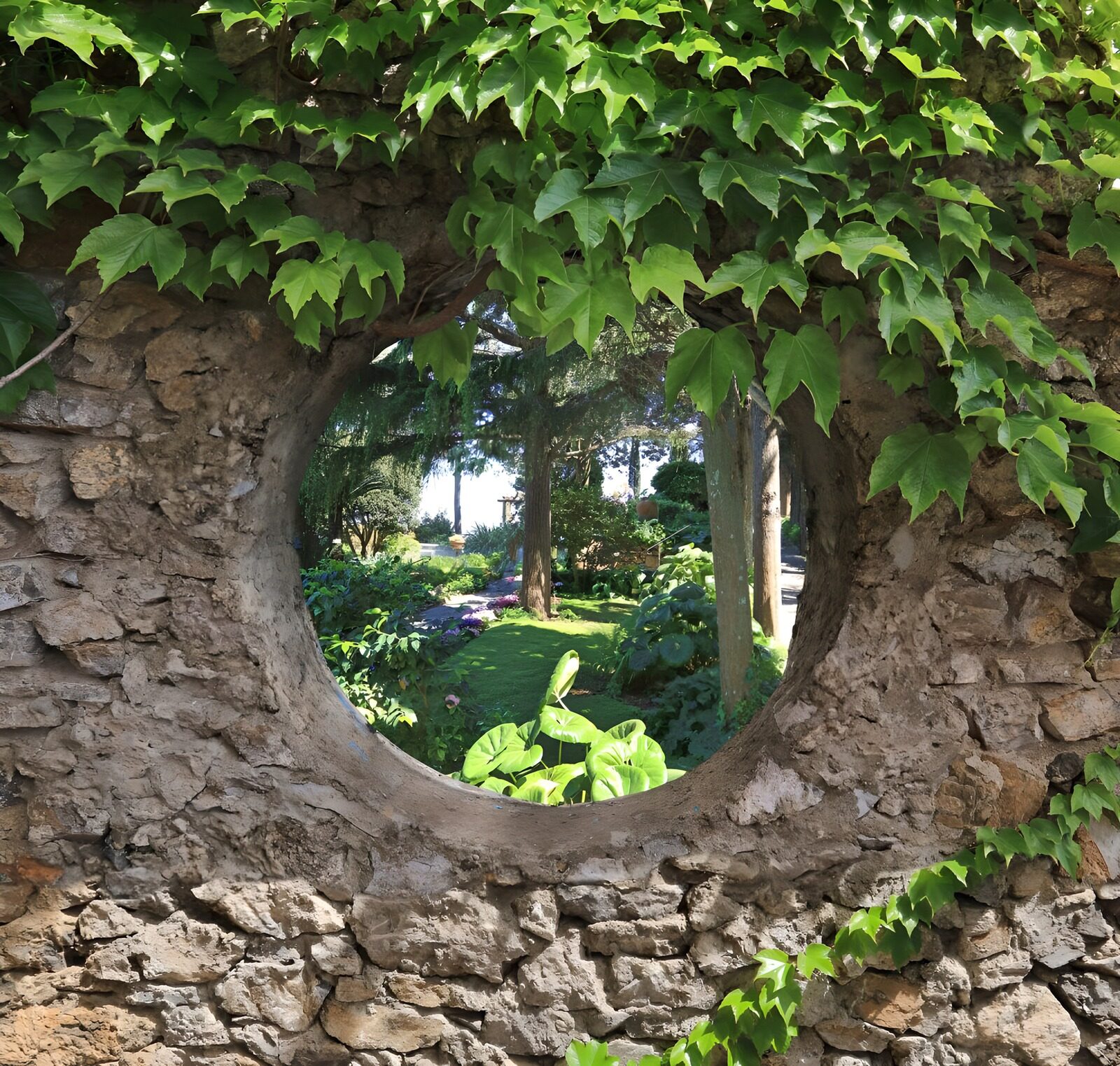 TPFR77149: Vue circulaire sur un jardin luxuriant