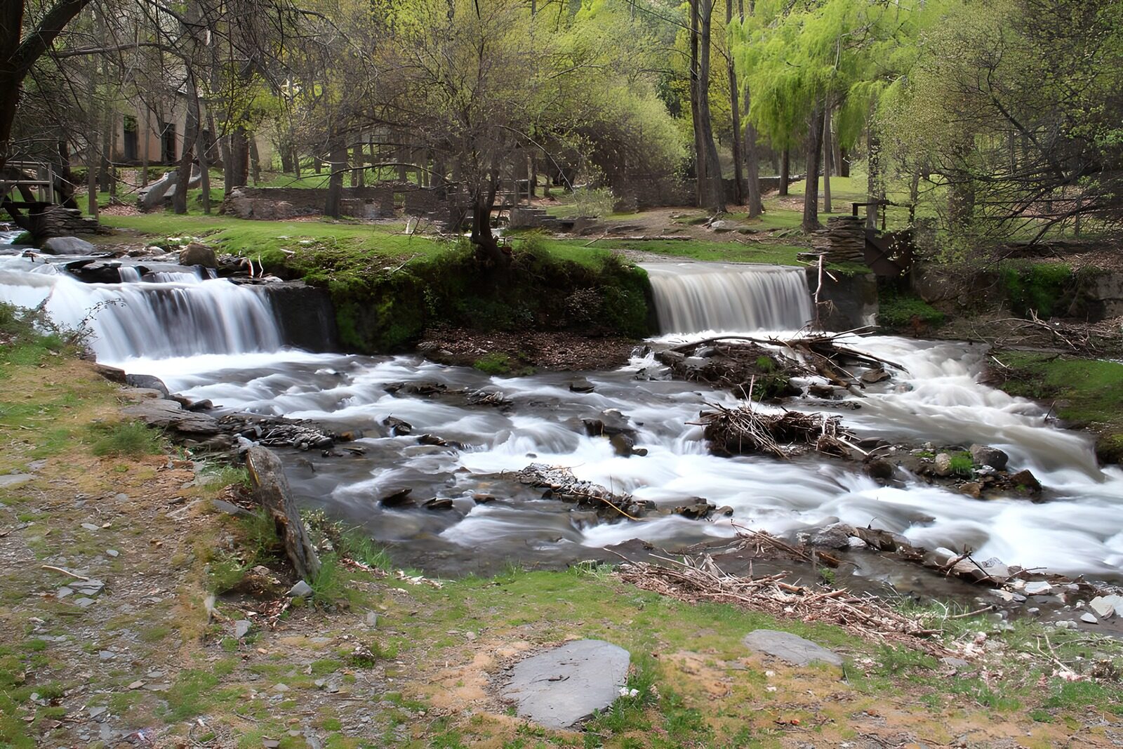 TPFR46907: Cascade paisible dans la forêt