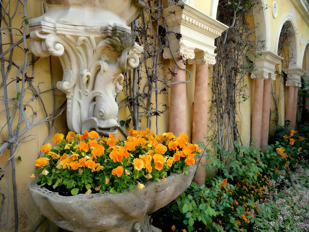 TPFR54227: Fontaine de fleurs orange
