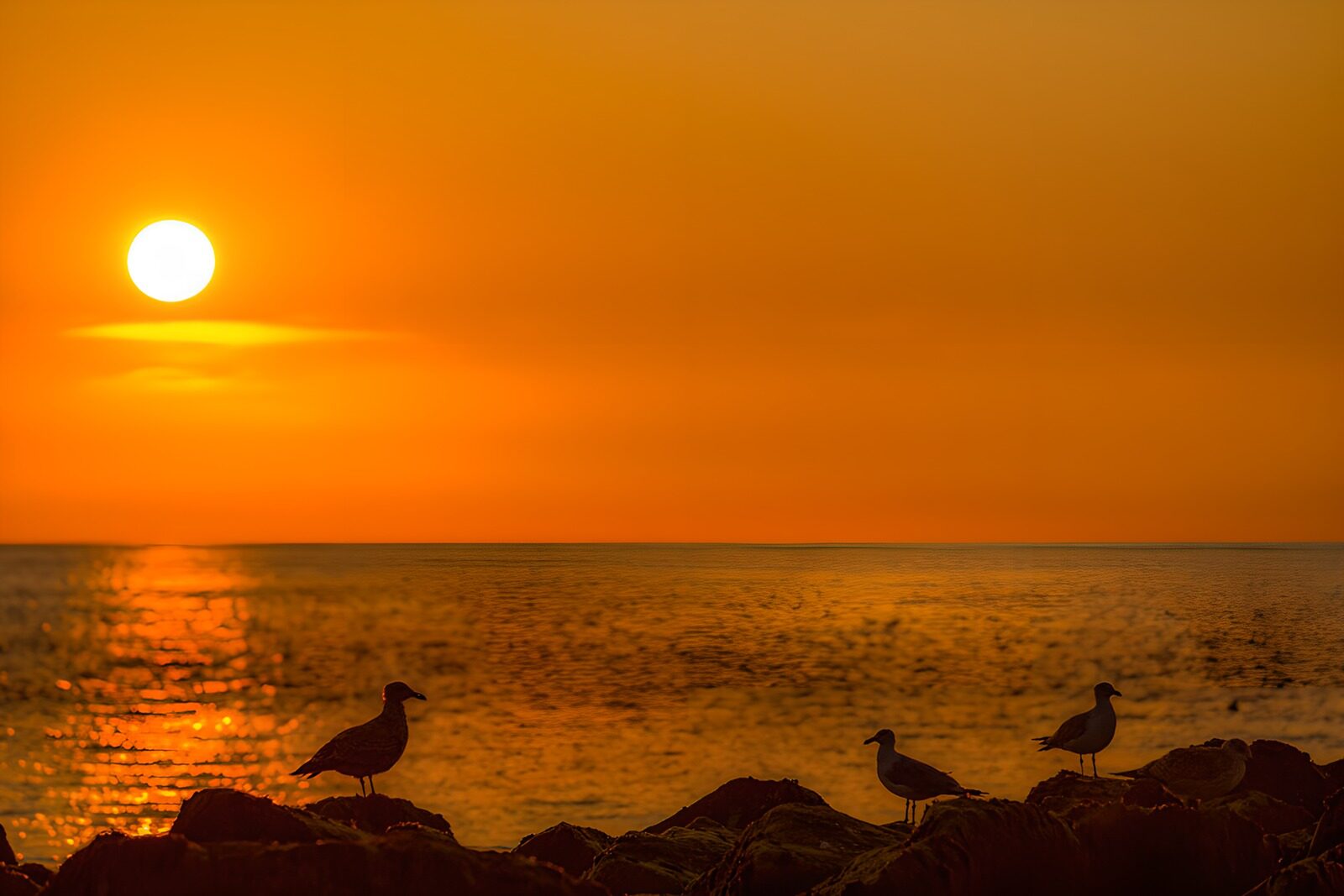 TPFR29532: Coucher de soleil sur la mer