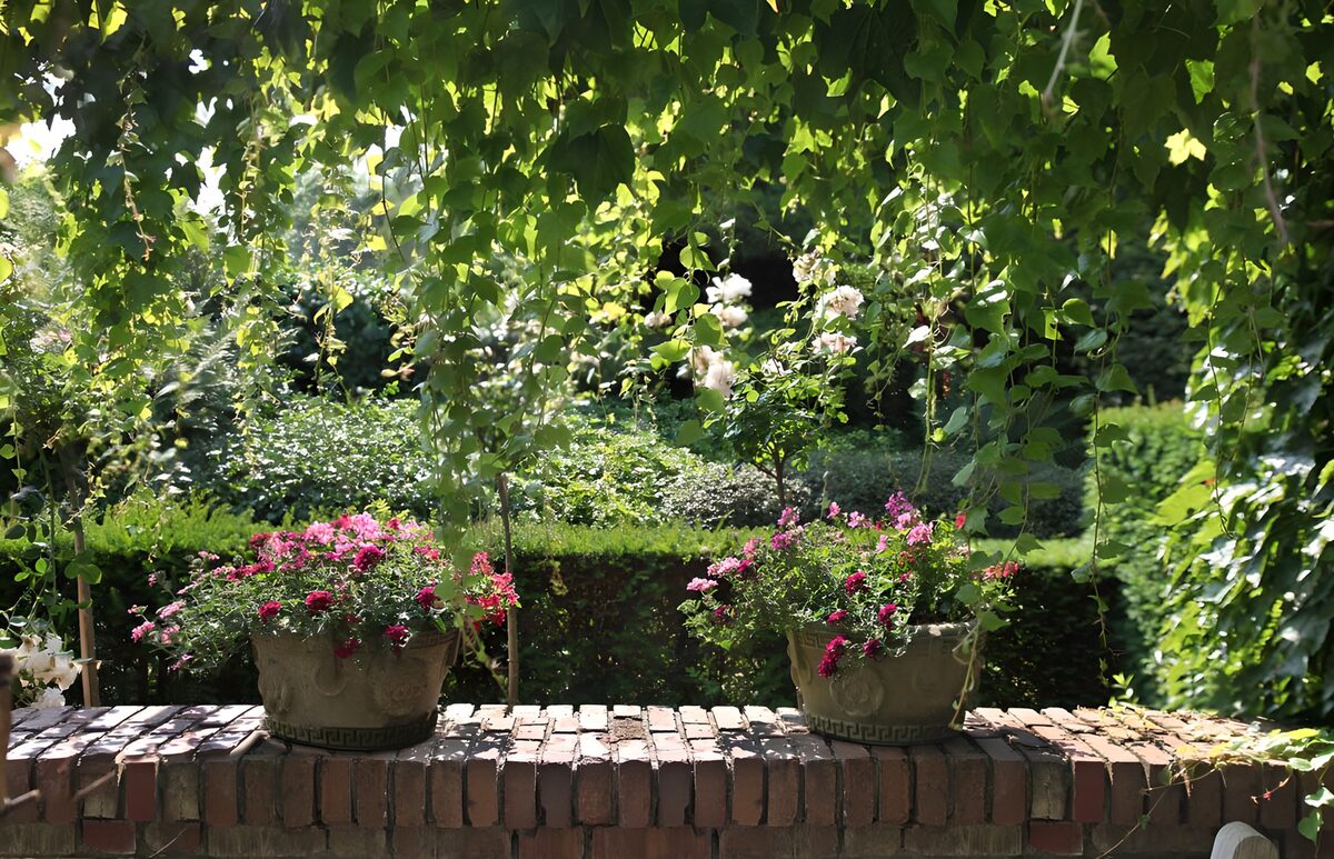 TPFR17909: Jardin fleuri sous les feuilles luxuriantes