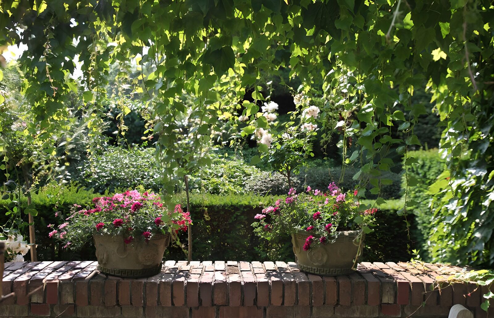 TPFR17909: Jardin fleuri sous les feuilles luxuriantes