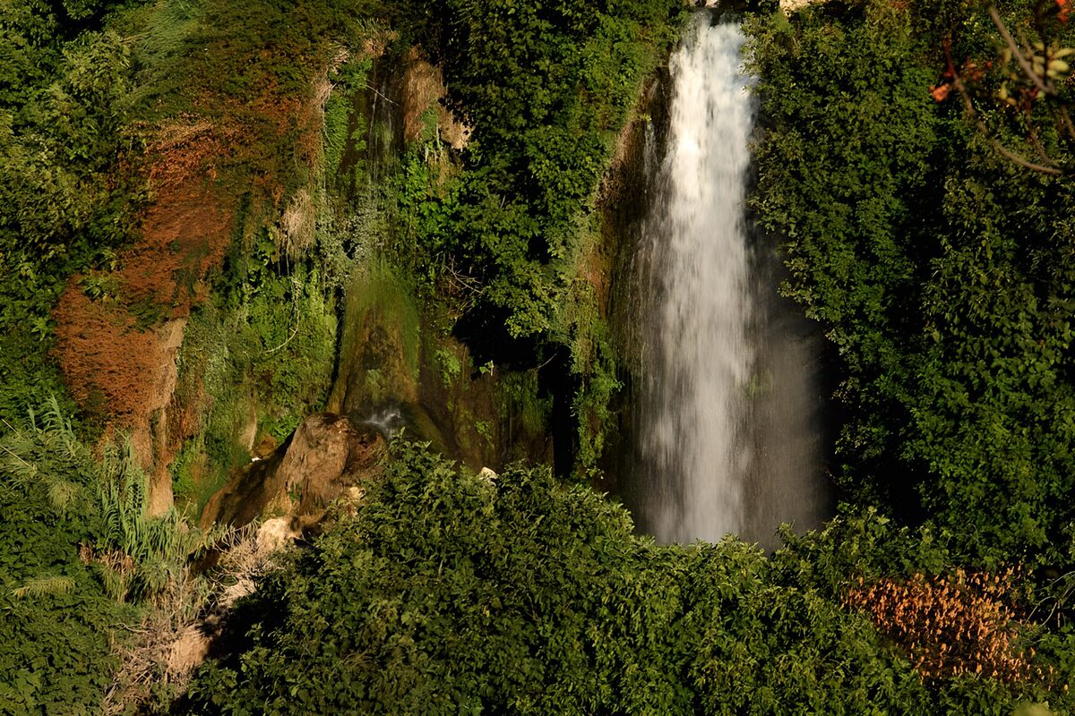 TPFR58896: Cascade verdoyante