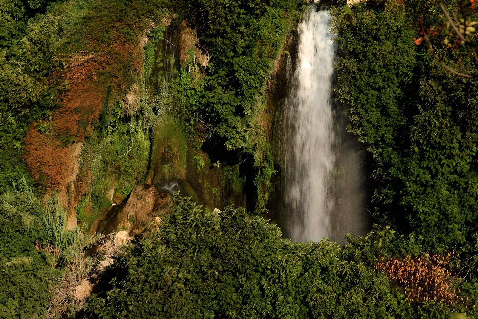 TPFR58896: Cascade verdoyante