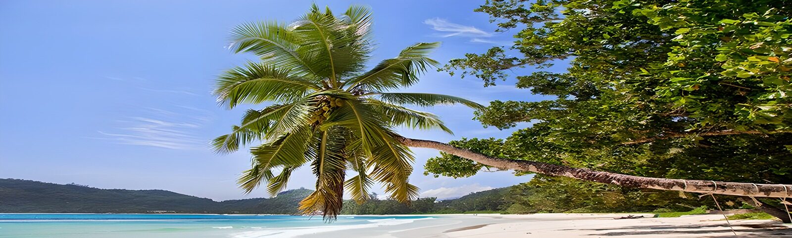TPFR39626: Plage tropicale sous un ciel bleu