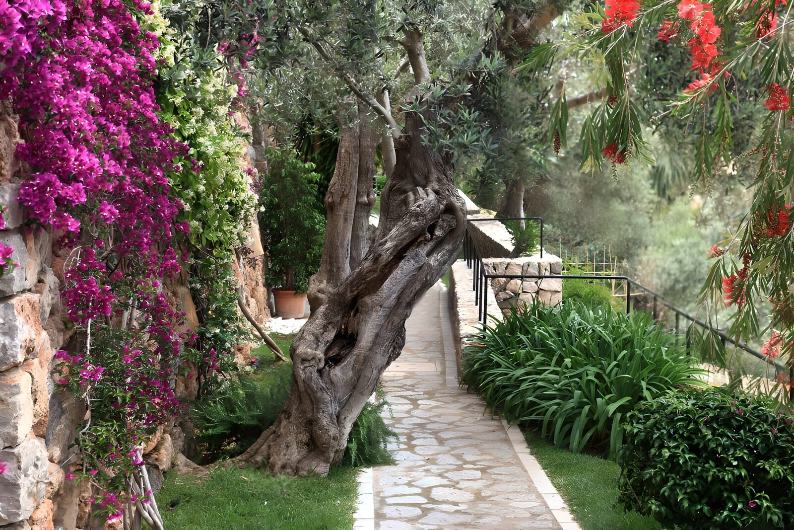TPFR52047: Jardin fleuri et chemin de pierre