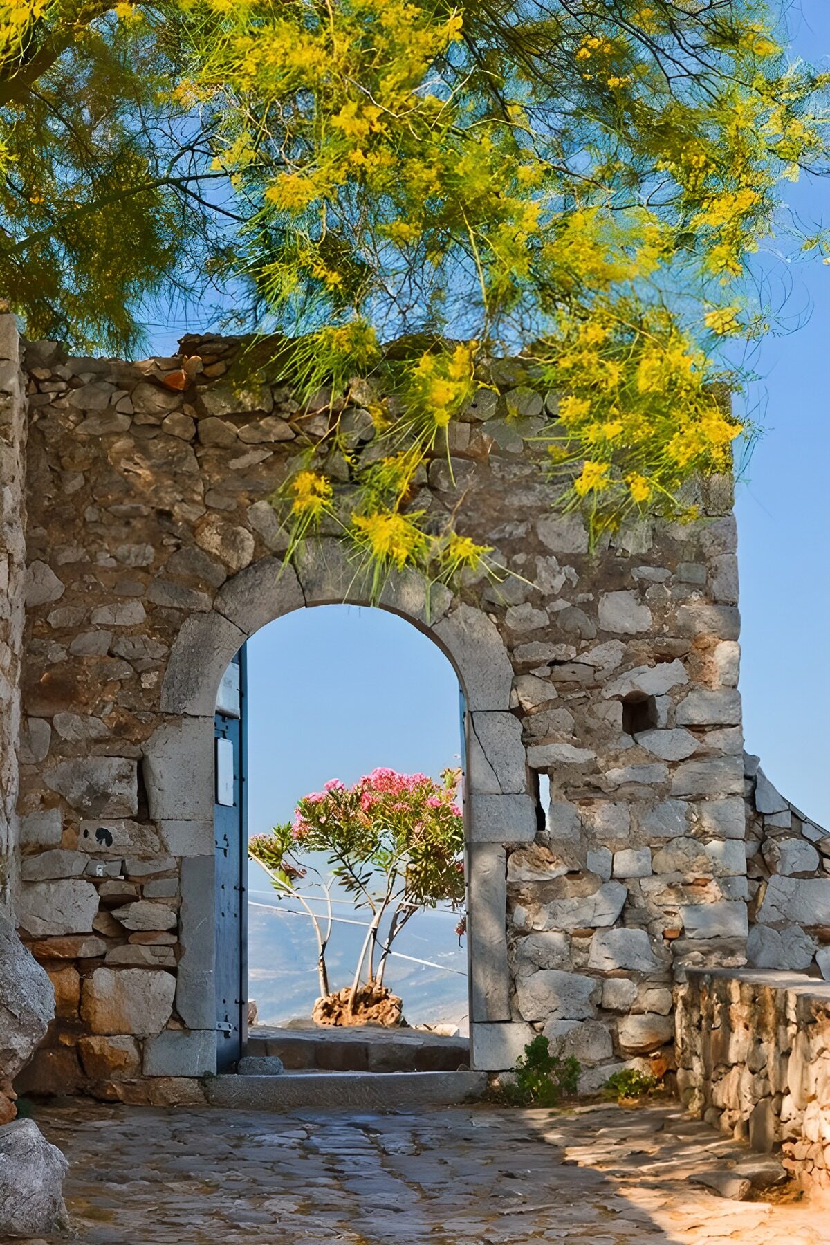 TPFR45656: La porte sur un jardin secret