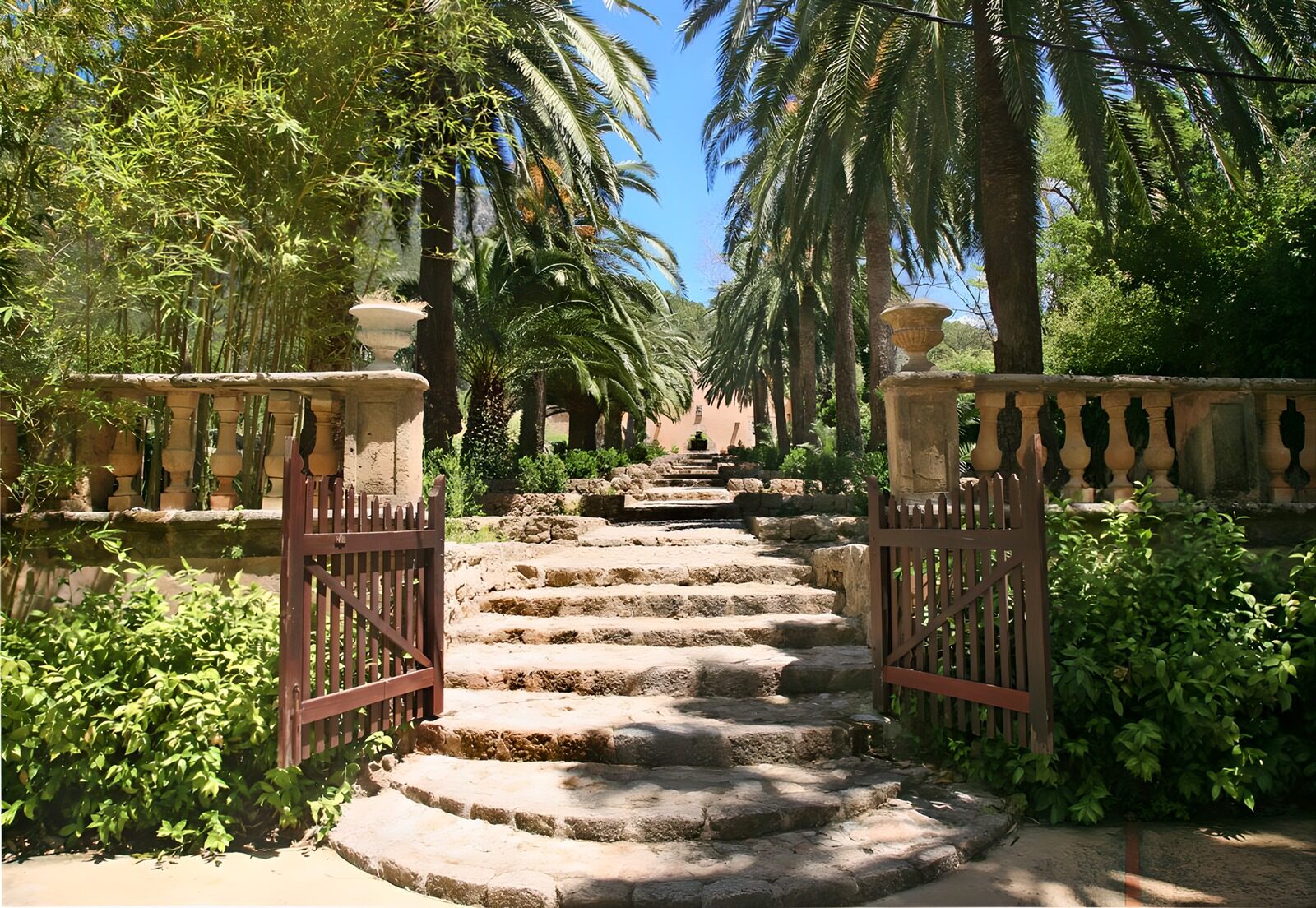 TPFR23552: Escalier menant à une maison encadré de palmiers version 2