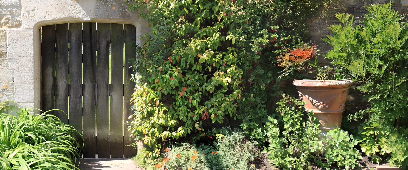 TPFR88221: Charmante porte de jardin