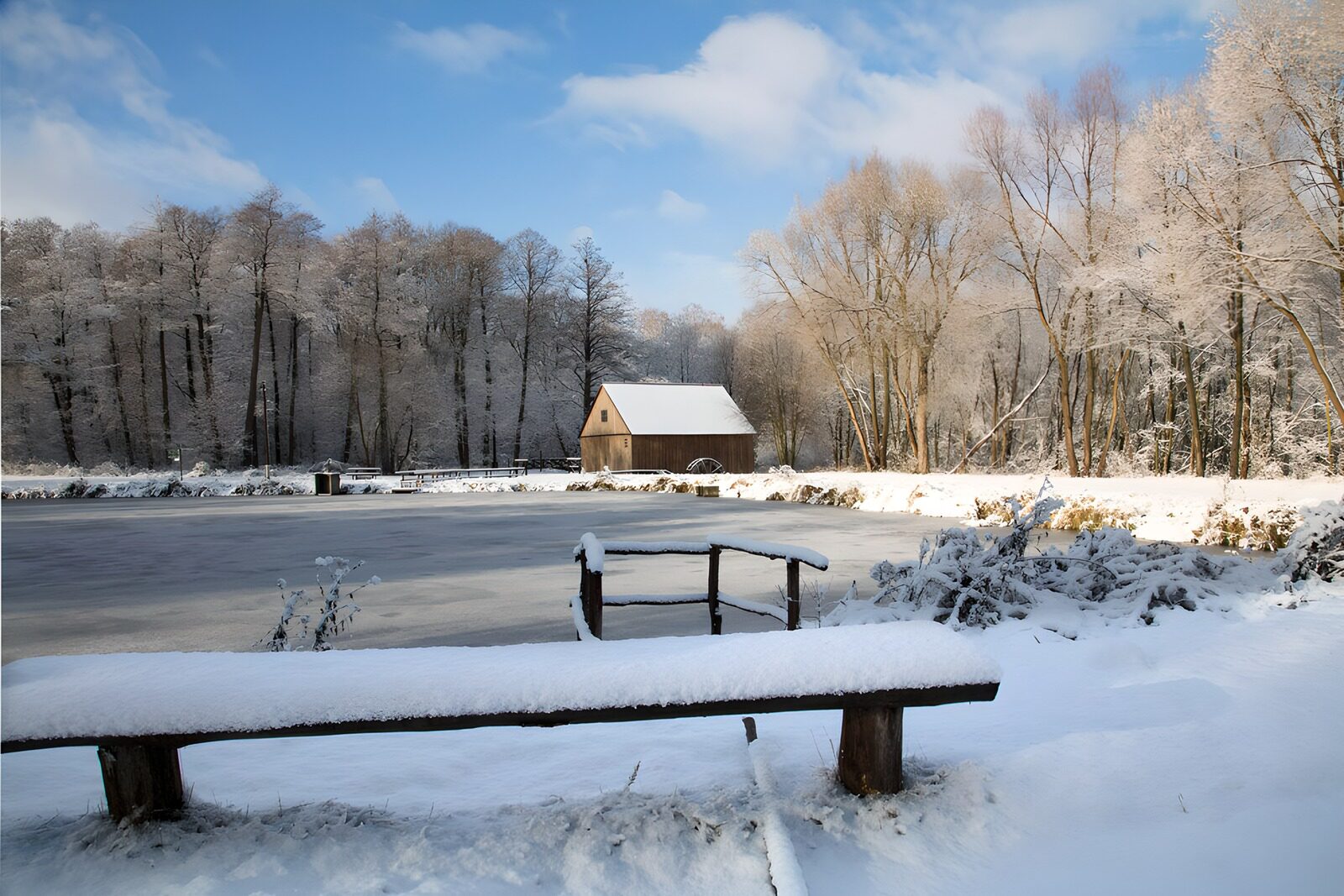 TPFR45968: Paysage hivernal paisible
