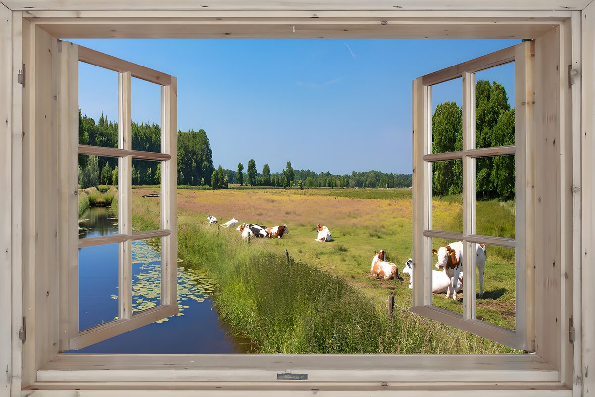 Vue paisible sur la campagne
