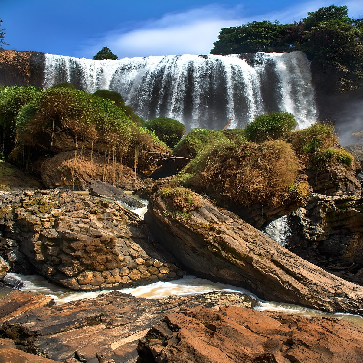 Cascade majestueuse entourée de verdure
